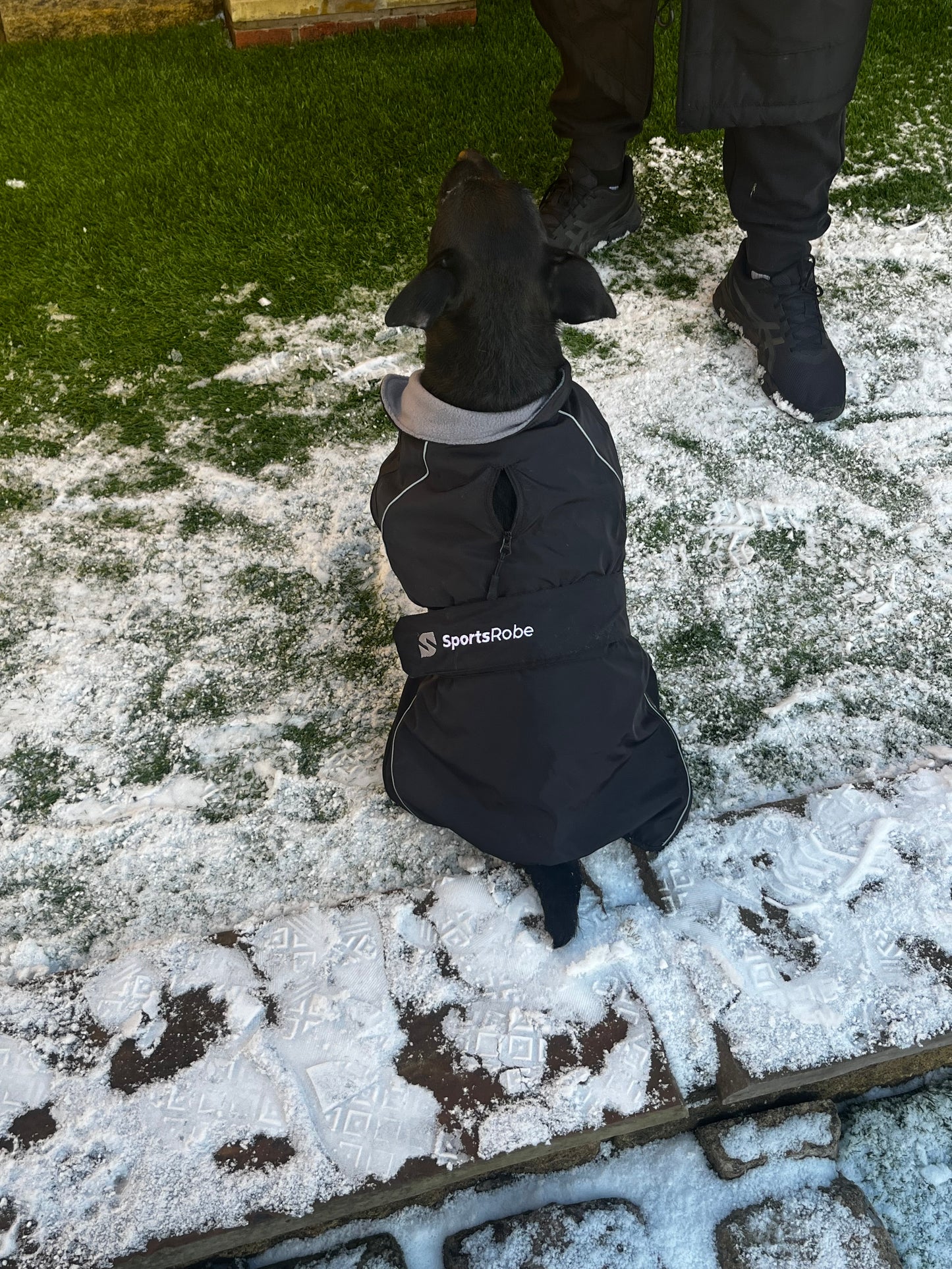 Dog Sports Robe Black